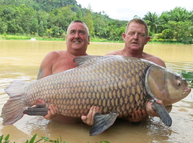  - Siamese-carp-134lb-7-oz-800x595