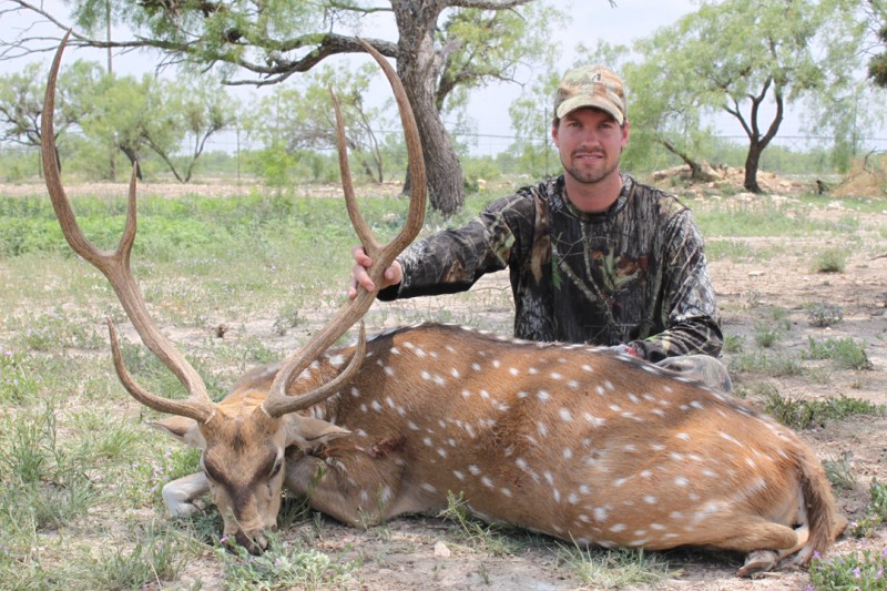 The author with his axis buck taken in Texas.