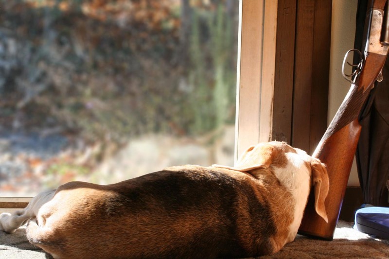 Sportsmen who plan on hunting federally-managed public land this season may be waylaid by the ongoing government shutdown.
