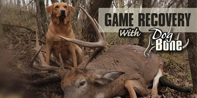Train your dog to recover lost deer.
