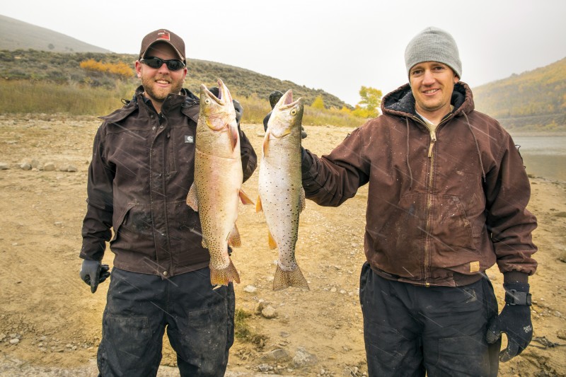 Scofield Reservoir has some big cutthroat trout. DWR biologists Calvin Black (L) and Dan Keller show two cutthroats caught in a gillnet on Oct. 3. Both fish were more than 20 inches long.