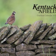 2014 KA calendar cover