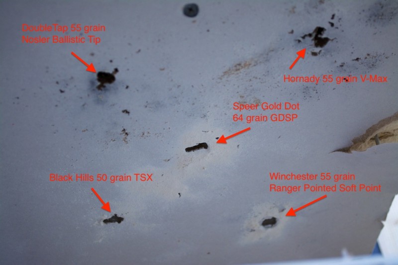 You can see that the Barnes Ballistic Tip and Hornady V-Max projectiles started to break part, as designed, quickly.