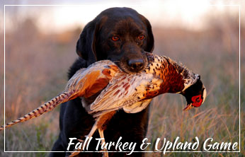 Fall Turkey and Upland Game