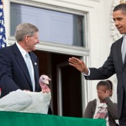 President Obama pardons a farm-raised turkey named "Courage" at the National Thanksgiving Turkey Presentation in 2009.