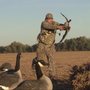 goose catching