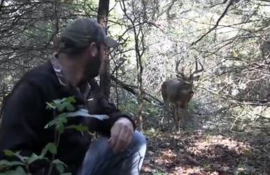 Chad Yousey keeps an eye on the buck he rescued as it watches him from a distance.