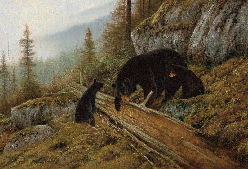 In this installment of the BAREBOW! Chronicles, Dennis Dunn takes to Saskatchewan in search of a trophy black bear. Illustration by Hayden Lambson.