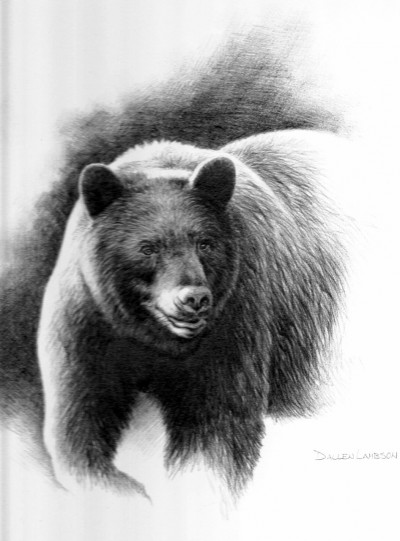 Eleven years after his "sweet" experience in his son's treestand, Dunn would travel to Saskatchewan to pursue black bear. Illustration by Dallen Lambson, used with permission from the Boone and Crockett Club.