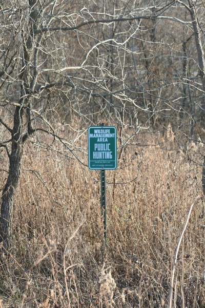 Many states have public land to hunt. Some of it gets a lot of pressure and some of it is surprisingly overlooked.