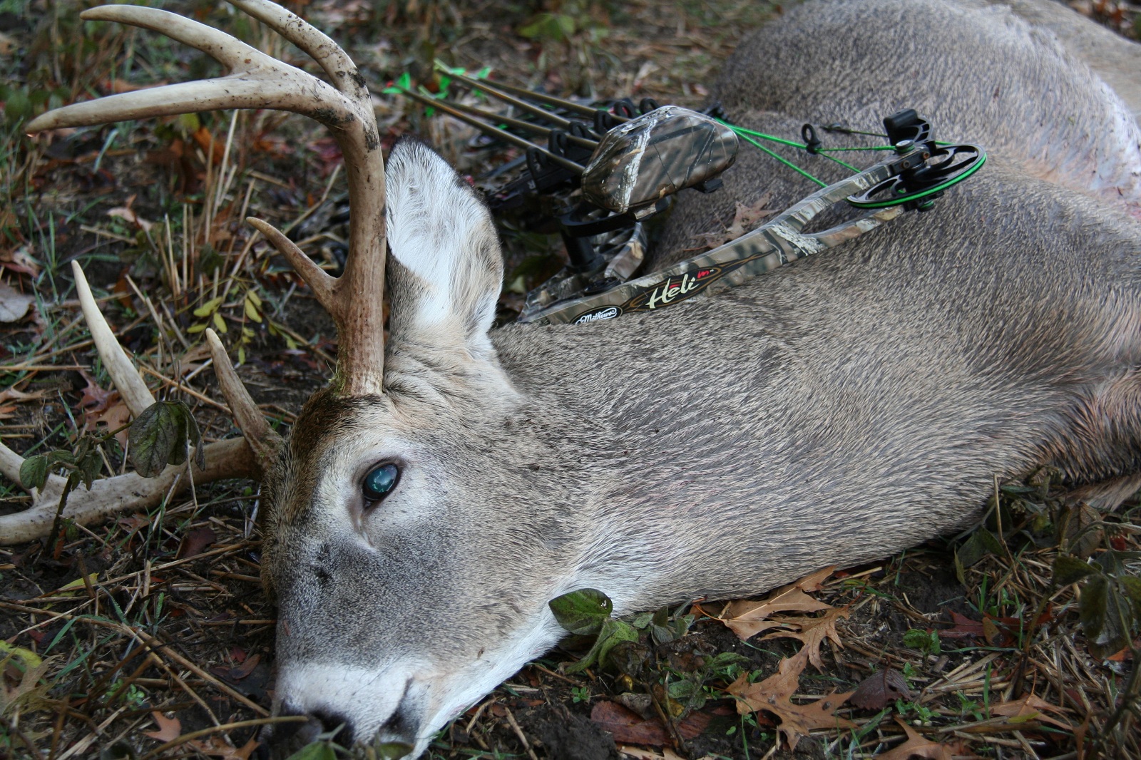 Plan Your 2014 Bowhunting Road Trip Now OutdoorHub