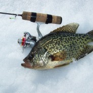 Keizer says the Custom Jigs & Spins Diamond Jig fishes fast and penetrates weeds without getting hung up. Plus, a 45-degree hook angle translates to easier and more solid hooksets for kids. Image by Bill Lindner Photography.