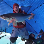 trout