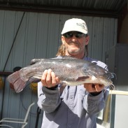Richard Clinton was just ounces away from beating the world record for brown bullhead, but he was glad enough to earn a state record.