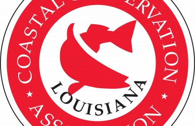 CCA Louisiana logo