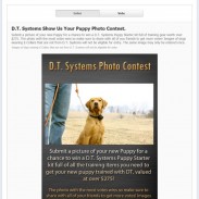 D.T. Facebook contest