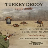 Decoy-Setup-Teaser-Interactive
