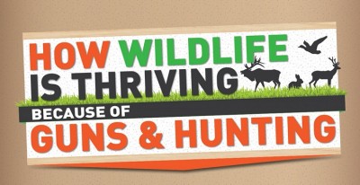 How WildlifeisThrivingBecauseofGuns Inforgraphic feature