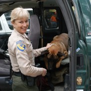 Lieutenant Lynette Shimek and a K-9 companion. Image courtesy James Swan.