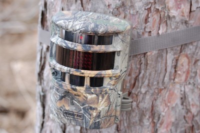 While the Moultrie Panoramic 150i isn’t small, it blends in well and has proven to be a very cool camera.