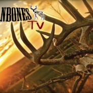Rollnbones logo
