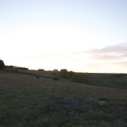 When you finally leave the city lights and into Nebraska, dreams of the next day's turkeys slip in and out of your mind's eye.