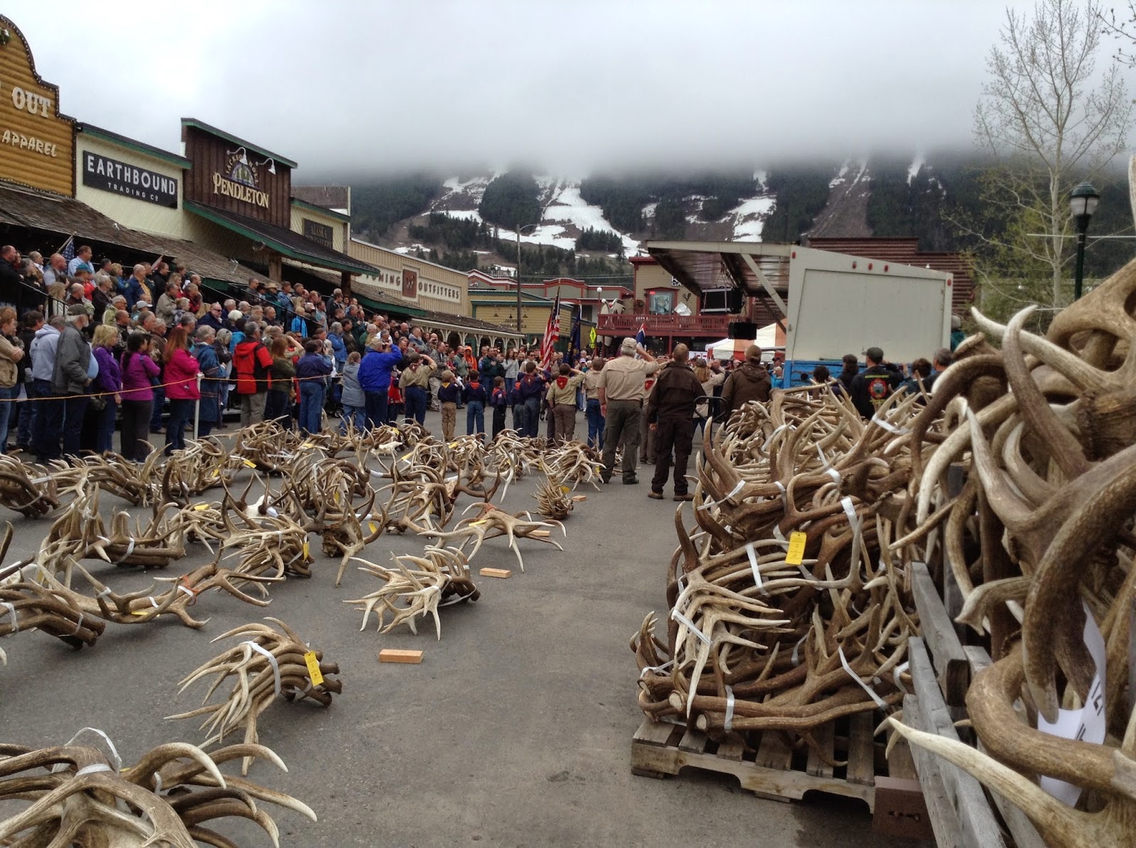 Boy Scout Auction Sells 200,000 Worth of Elk Antlers OutdoorHub