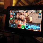 The Atomos Ninja Blade in action at the RMEF/onXmaps shoot.