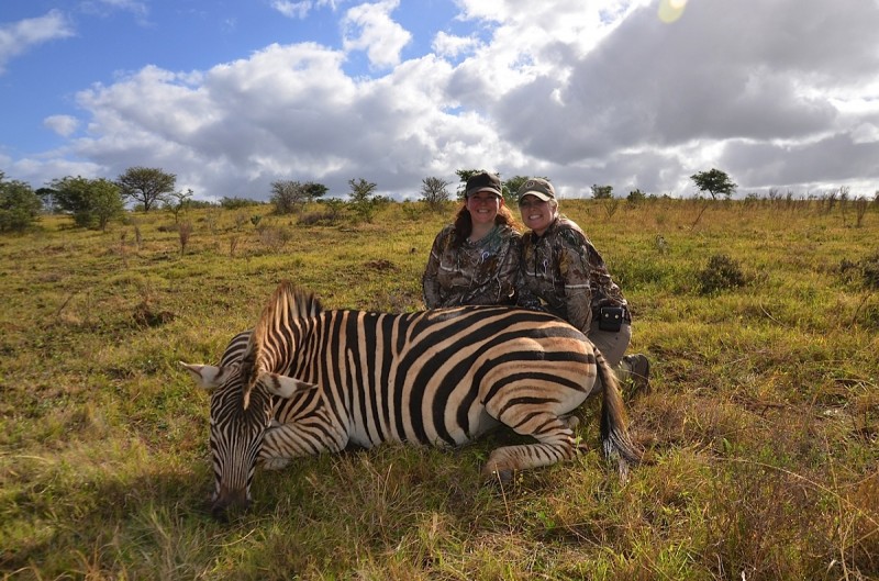 Michelle's Zebra. Image courtesy Dwaine Starr.