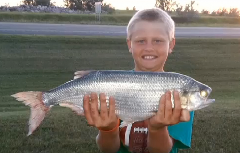 Brayden Selzler holds up a behemoth of a goldeye, which normally average under one pound in weight.