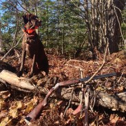 Hunters know that sporting dogs aren't just "tools" of the trade. They're members of the family, too, and every upland hunter should be prepared to provide care for their dog in the event of an emergency. Image by Britney Starr.