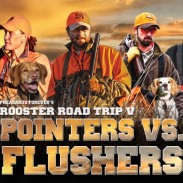 2014 Rooster Road