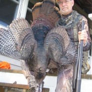 Denny Gulvas is a master turkey hunter.
