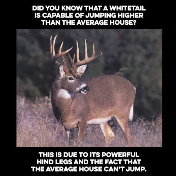 Our Top 10 Hunting Memes from 2014 - OutdoorHub