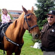 Coyotes have been known to take down deer, but attacking a fully-grown horse in broad daylight is almost unheard of.
