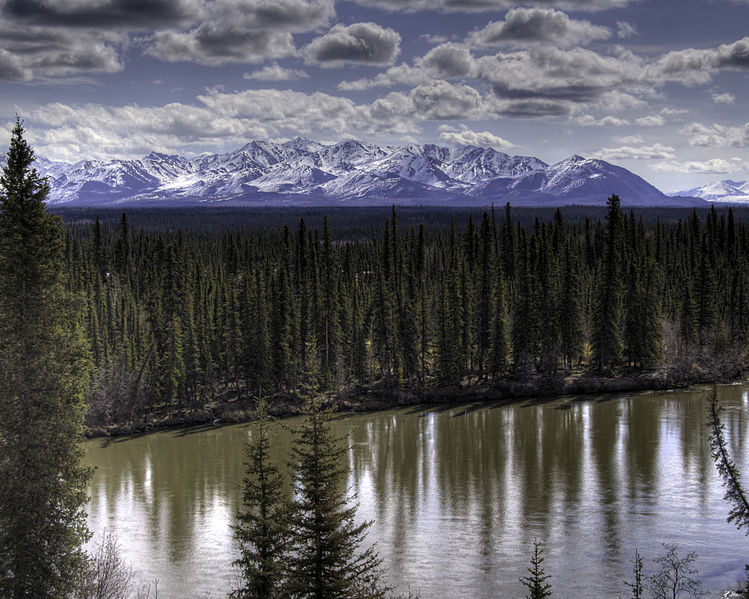 The Bipartisan Sportsmen's Act of 2015 would ensure the rights of hunters and anglers, as well as increase access to public lands.
