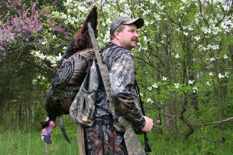 CMG The Best Public Lands for Southern Turkey Hunting Indiana