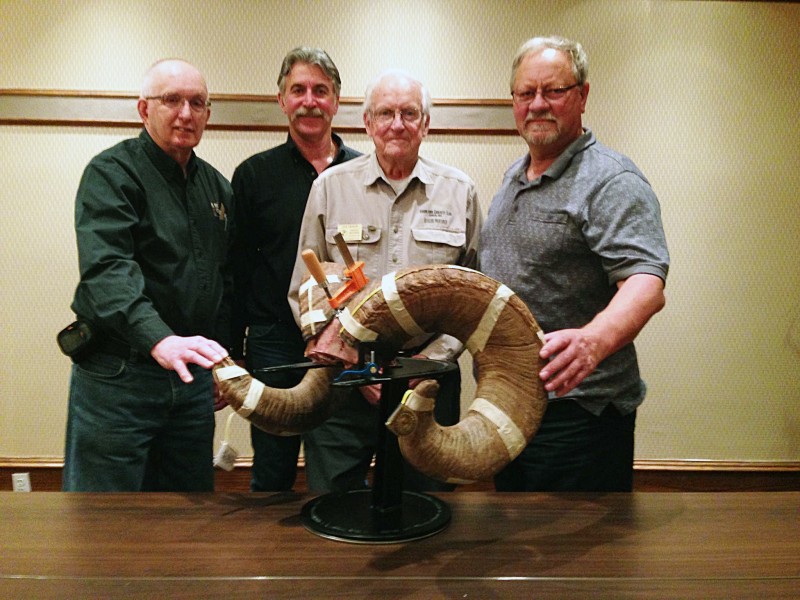 Boone And Crockett Club Announces New World Record Bighorn Sheep