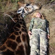 Giraffe hunting tags