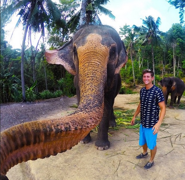 outdoorhub-photo-elephant-takes-a-selfie