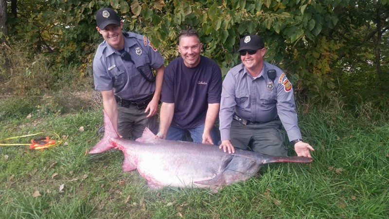 Tom Keller (center) poses with his new state record paddlefish, which was confirmed to be the largest fish caught in Nebraska history. Image from Facebook.