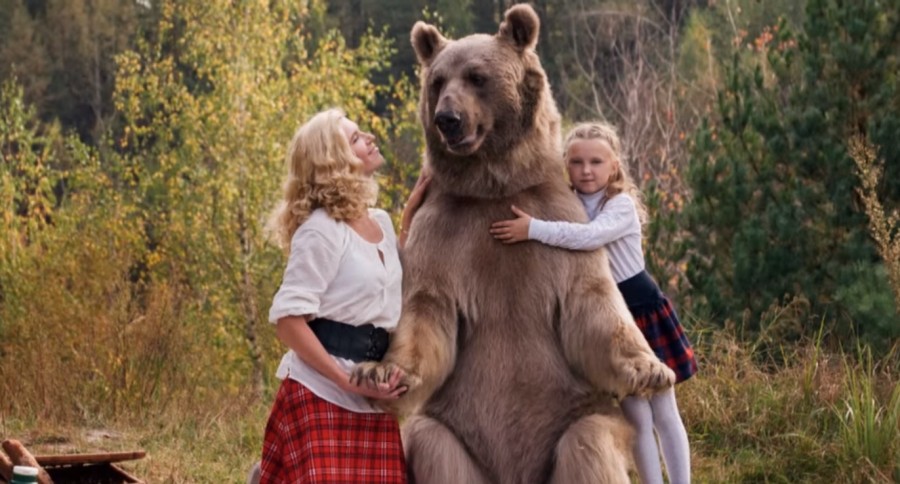 Video "Vegetarian" Brown Bear Joins Russian Picnic