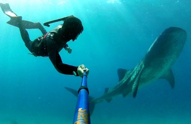 After a move to Taiwan in 2009, Dean Fredericks began to miss the surfing culture of his home in Cape Town, South Africa. It was at this time that he discovered his interest in freediving, something that has kept him hooked ever since. Image courtesy of Dean Fredericks.