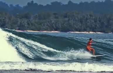 surf post